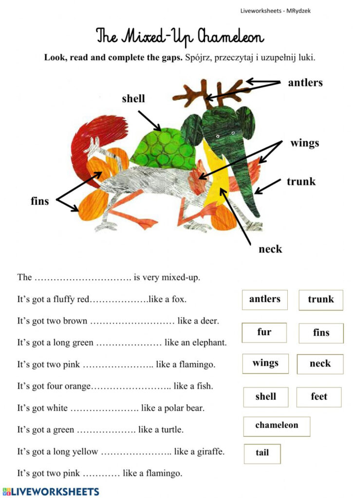 The Mixed Up Chameleoneric Carle Worksheet