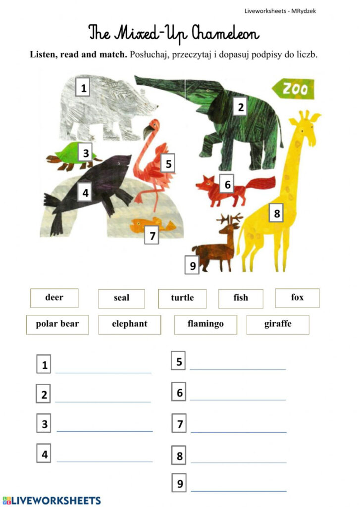 The Mixed Up Chameleoneric Carle Worksheet