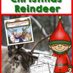 The Wild Christmas Reindeer | Graphic Organizers And Book