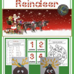 Wild Christmas: Reindeer Activity Pack | Christmas Stories