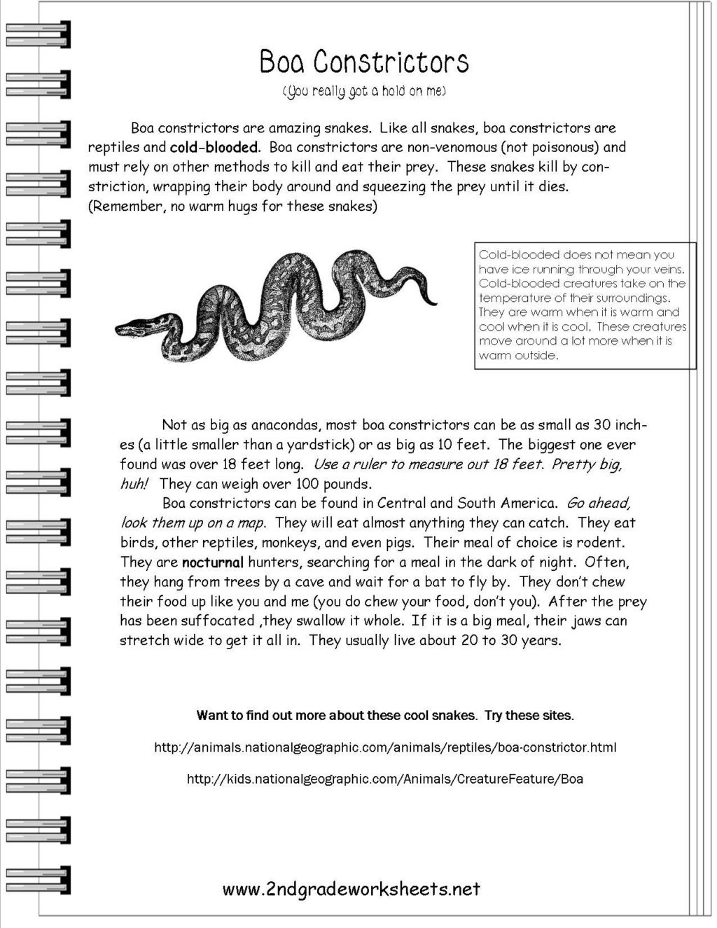 Worksheet ~ 5Th Grade Reading Comprehension Worksheets