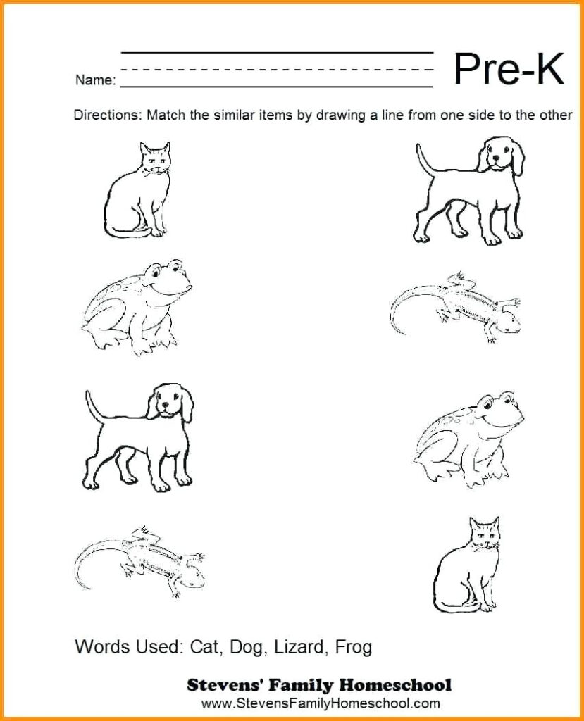 Worksheet : Match The Objects Worksheets Free Halloween