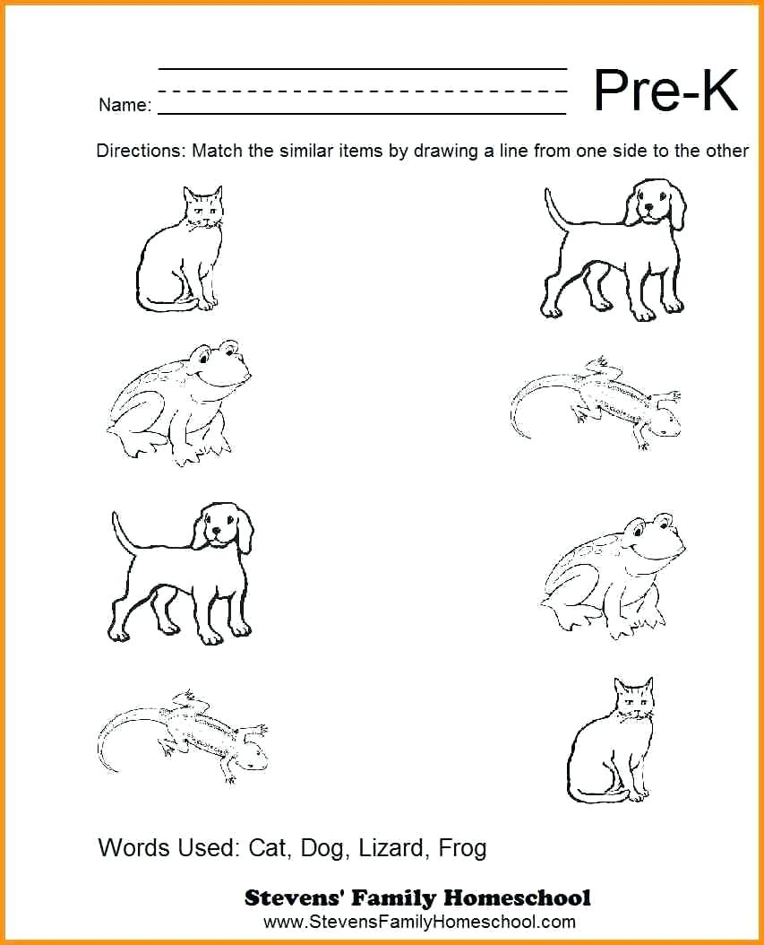 Worksheet : Match The Objects Worksheets Free Halloween