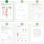 Free Printable Cbt Worksheets For Professionals And Self