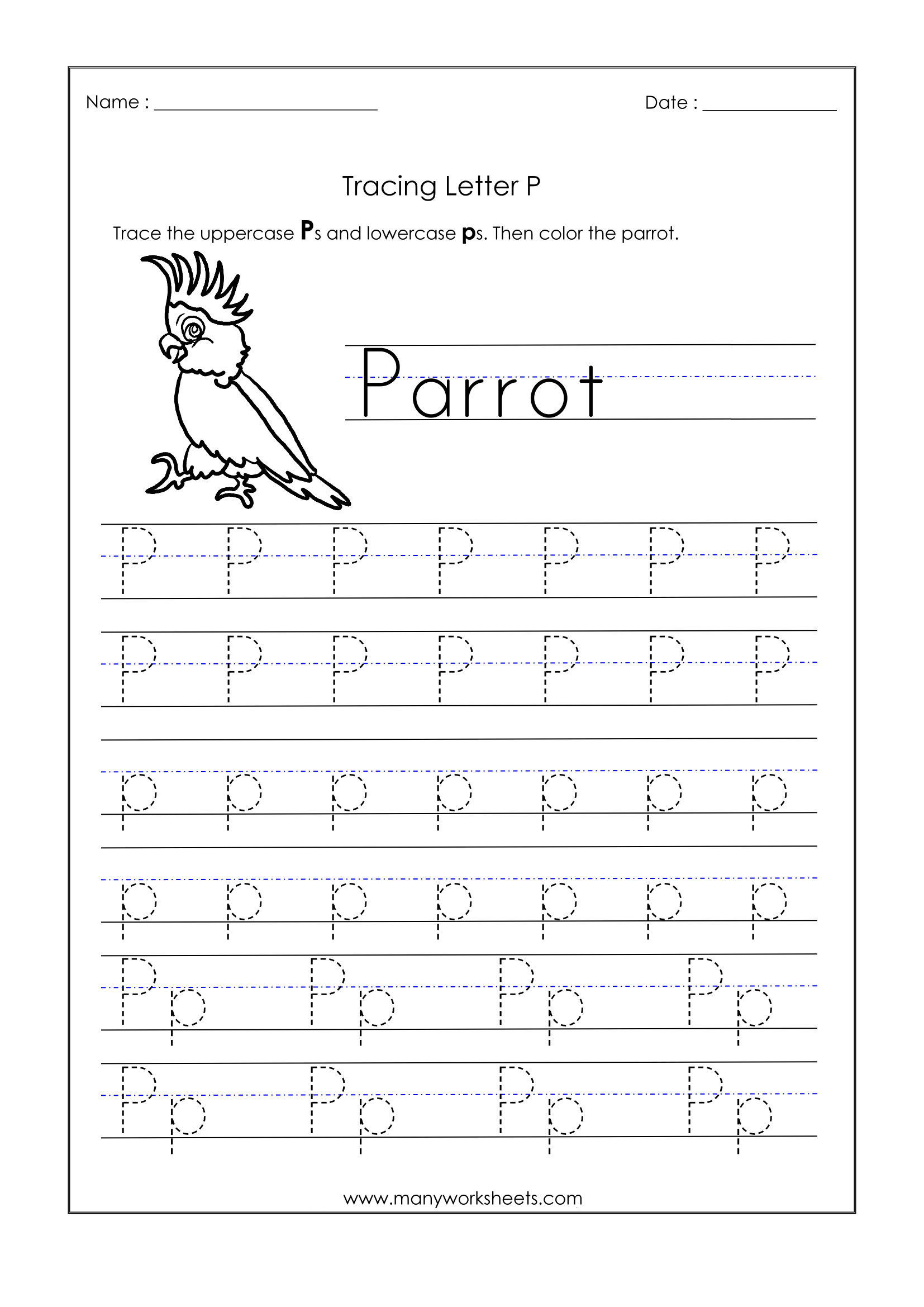 Worksheet Remarkable Letter P Worksheets Image Inspirations