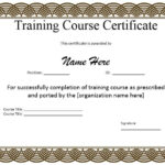 10 Training Certificate Templates Word Excel PDF