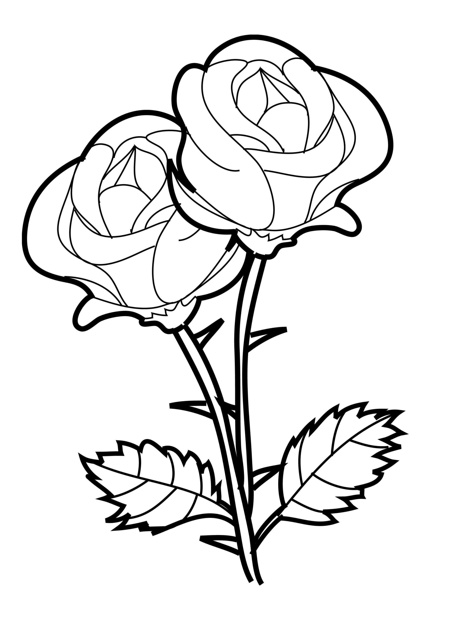Coloring Pages Color Free Printable Flower Coloring