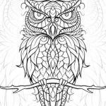 Diceowl Free Printable Adult Coloring Pages Owl Coloring
