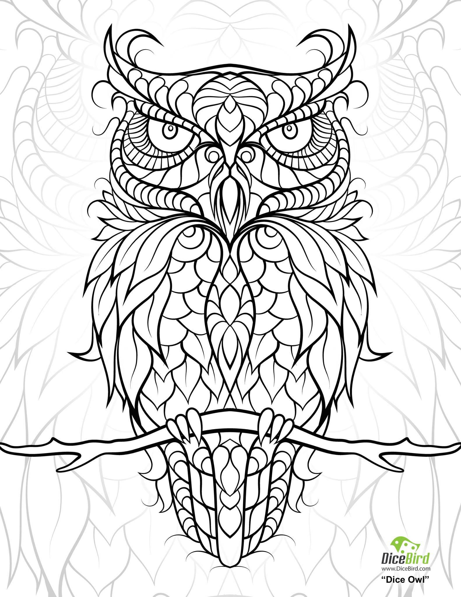 Diceowl free Printable Adult Coloring Pages Owl Coloring 