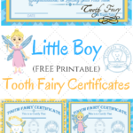 Free Printable Tooth Fairy Certificates The Quiet Grove
