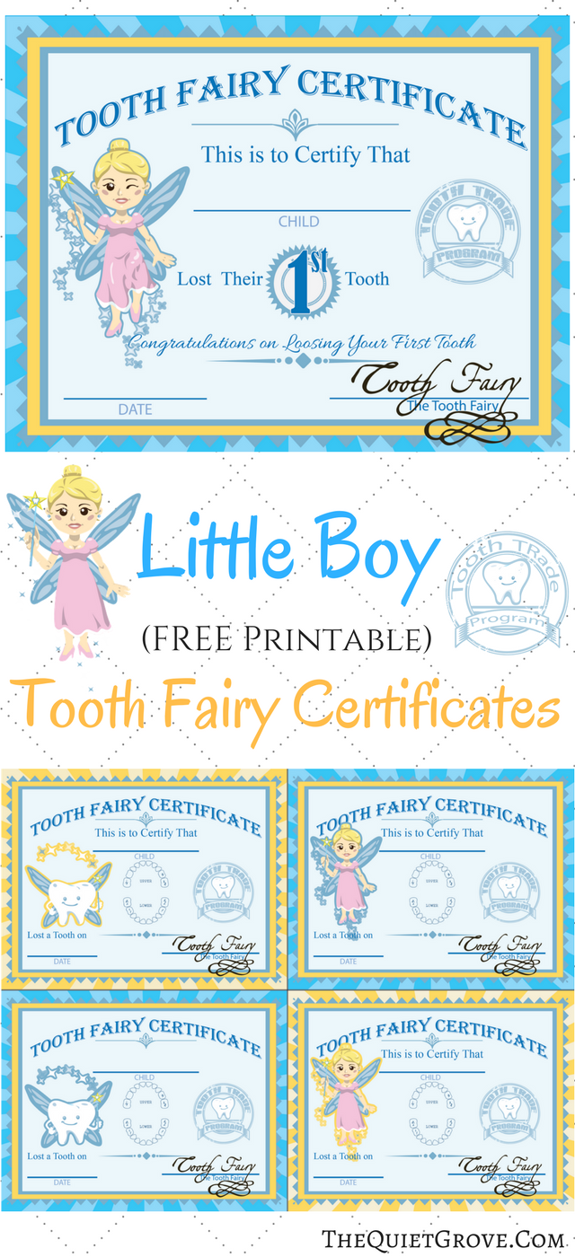 Free Printable Tooth Fairy Certificates The Quiet Grove