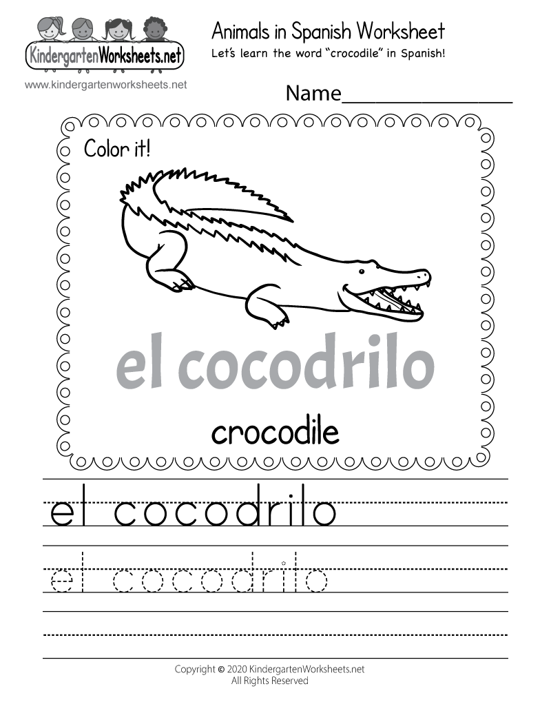 Learn How To Write Crocodile In Spanish Worksheet Free 