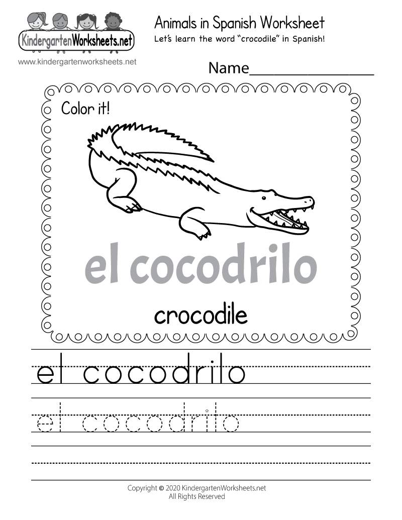 Learn How To Write Crocodile In Spanish Worksheet Free