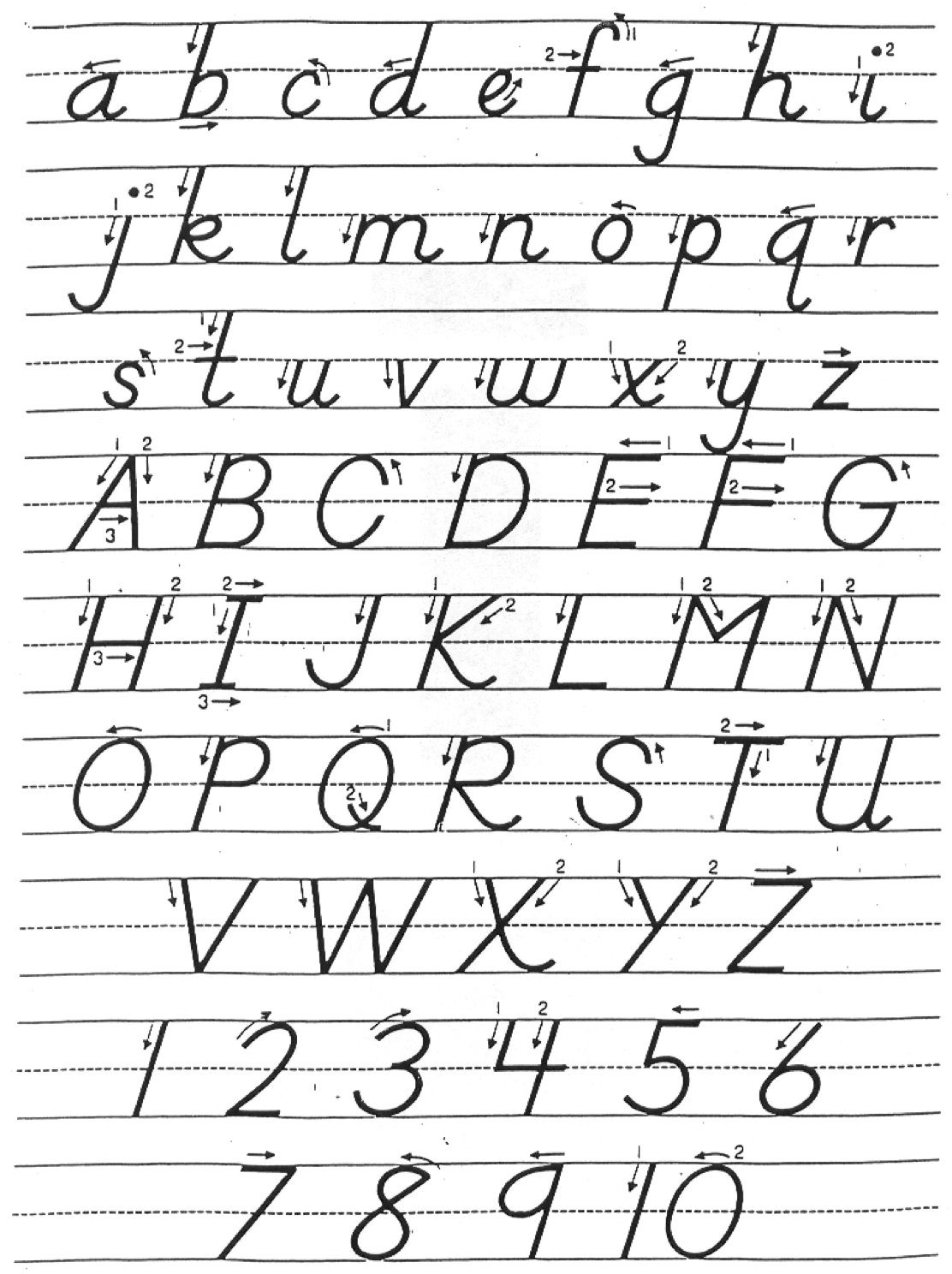 D nealian Alphabet Tracing Worksheets 