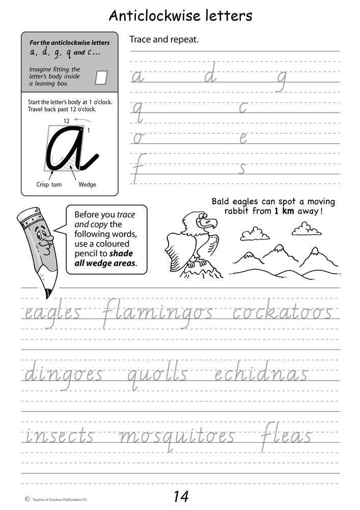 Handwriting Conventions VIC Year 3 Teachers 4 