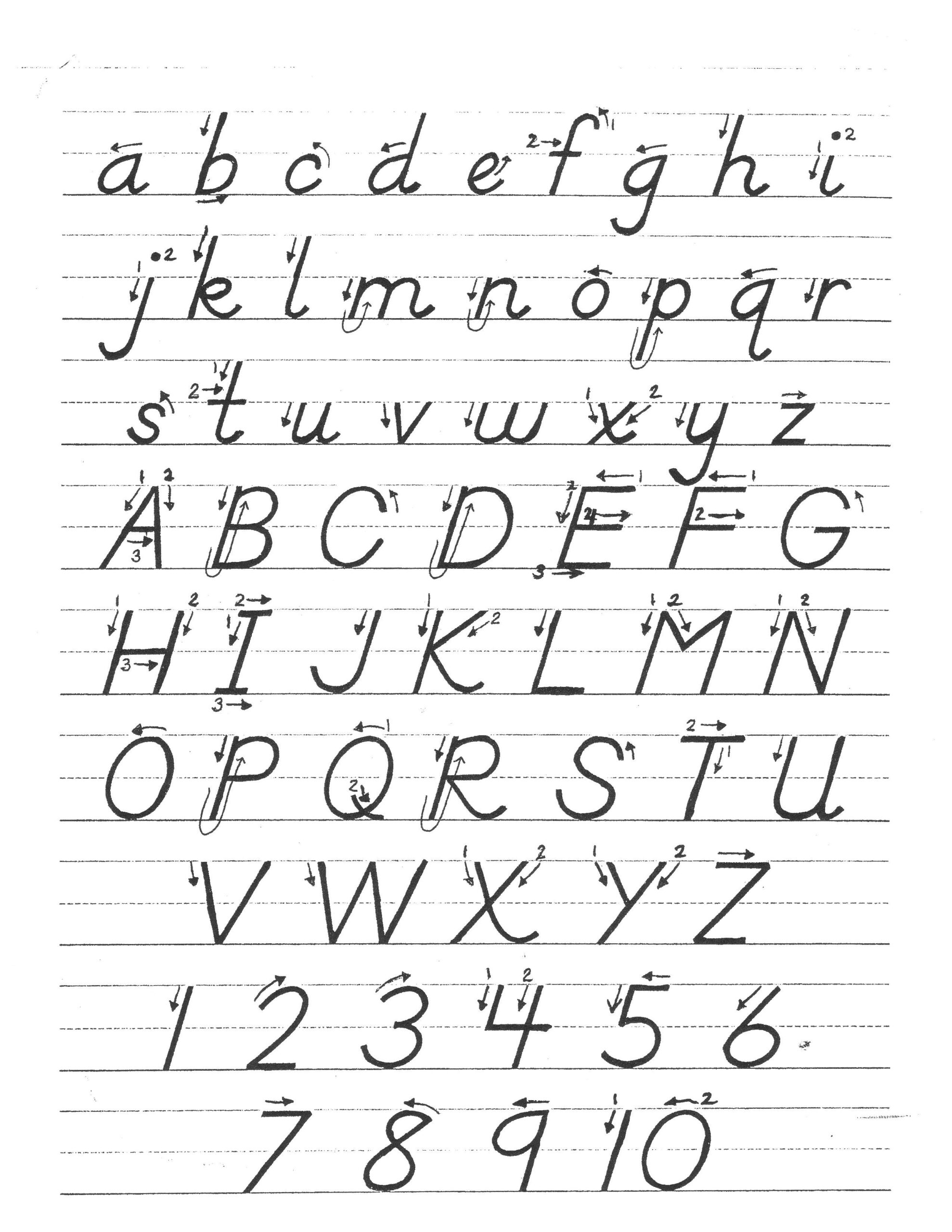 Image Result For D nealian Handwriting Educacion