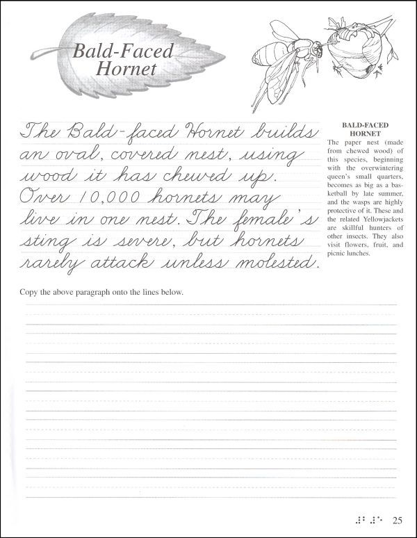 Pentime Cursive Grade 5 Additional Photo inside Page 