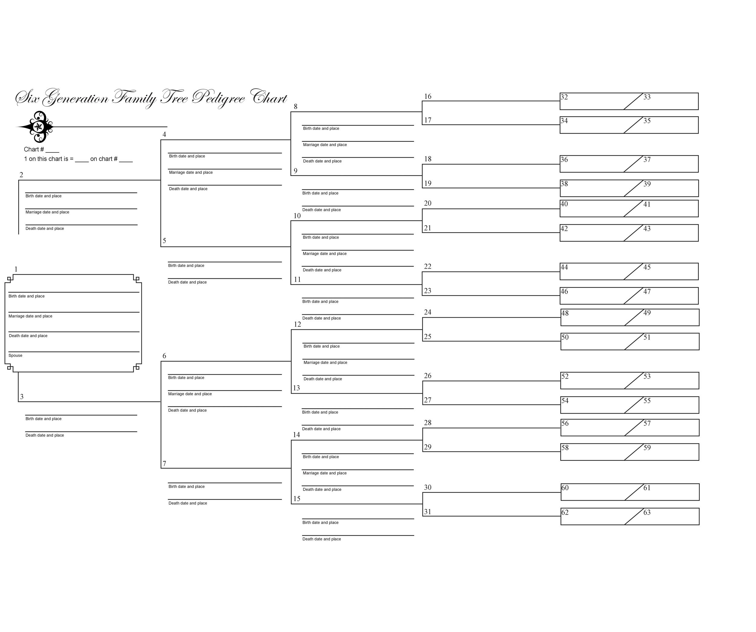 40 Free Family Tree Templates Word Excel PDF 