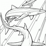 Coloring Pages Shark Coloring Pages Free And Printable