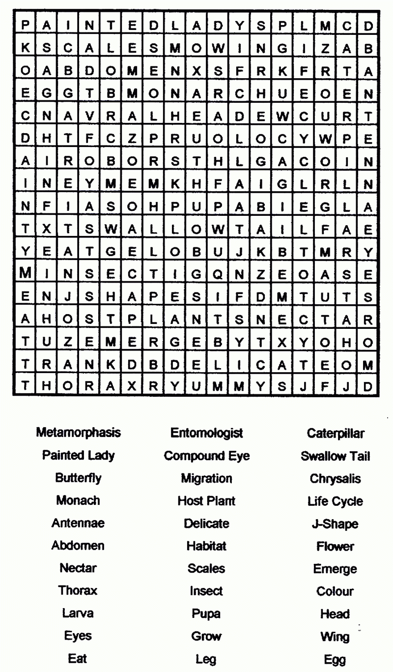 Free Printable Word Searches For Adults Large Print Free 