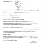 13 Best Images Of 7th Grade Life Science Worksheets Free