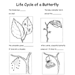 13 Best Images Of Free Butterfly Worksheets Kindergarten