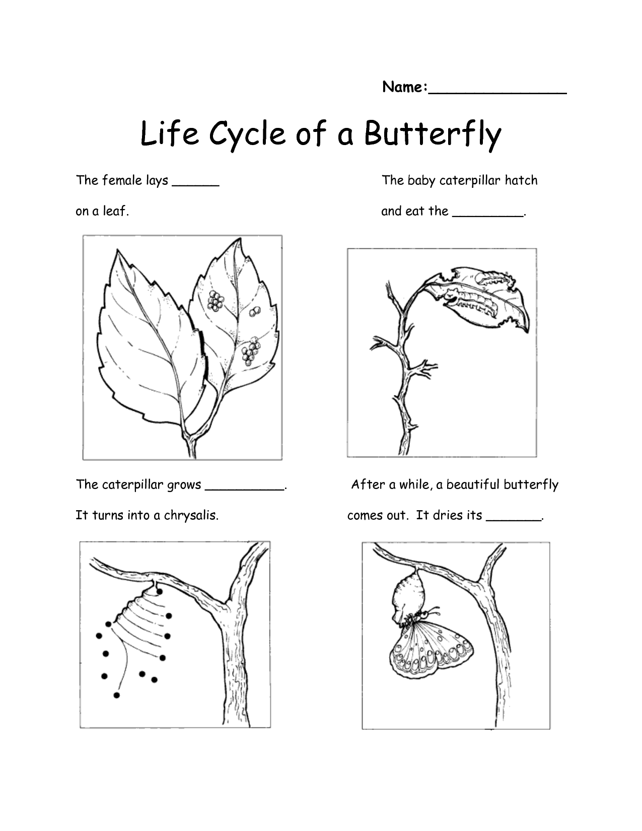 13 Best Images Of Free Butterfly Worksheets Kindergarten 