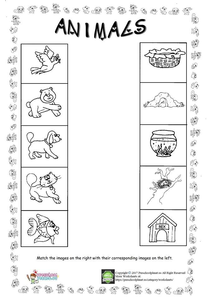 Animal Worksheet For Kids Worksheet For Nursery Class 