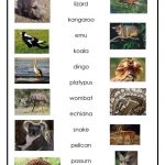 Australian Animals Worksheet Free ESL Printable