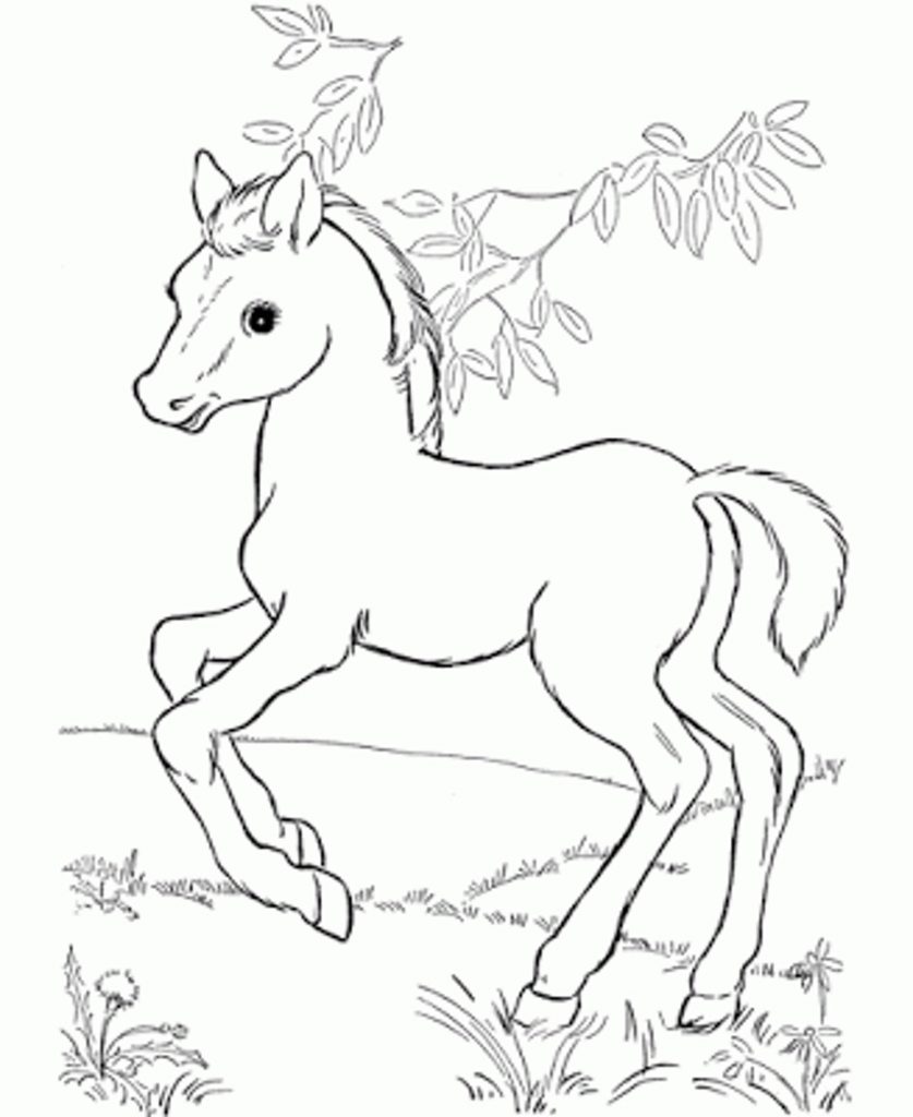 Disney Horse Coloring Pages At GetColorings Free