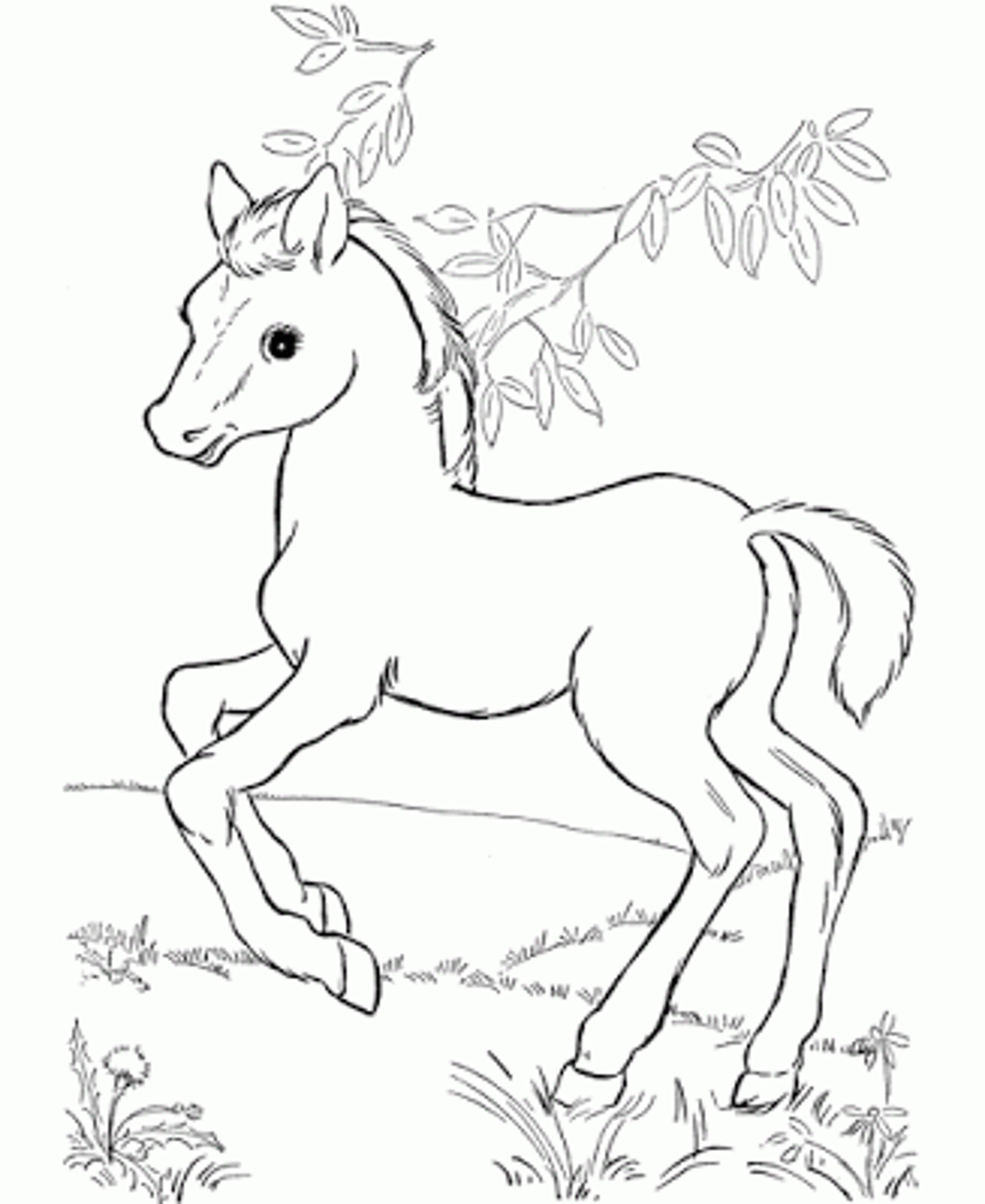 Disney Horse Coloring Pages At GetColorings Free 