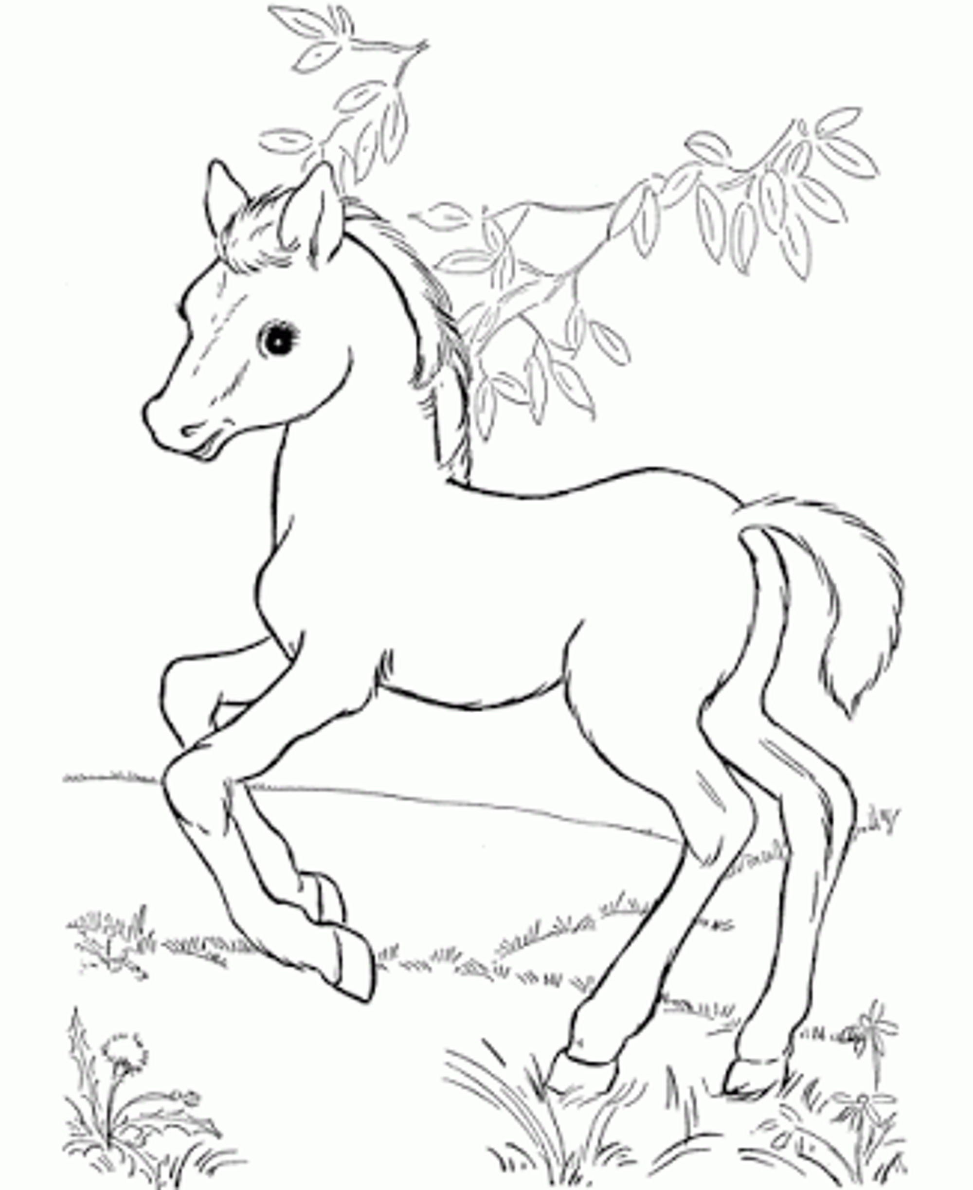 Disney Horse Coloring Pages At GetColorings Free