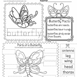 Free Printable Parts Of A Butterfly Worksheet