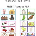 Free Sequencing Cards And Color Matching For Pre K K 1