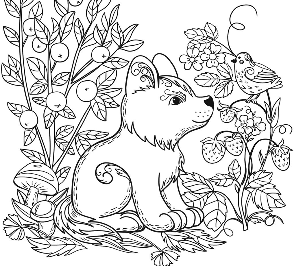 Free Wild Animal Coloring Pages At GetColorings Free