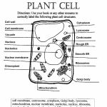 Label Plant Cell Worksheet 1 Biological Science Picture
