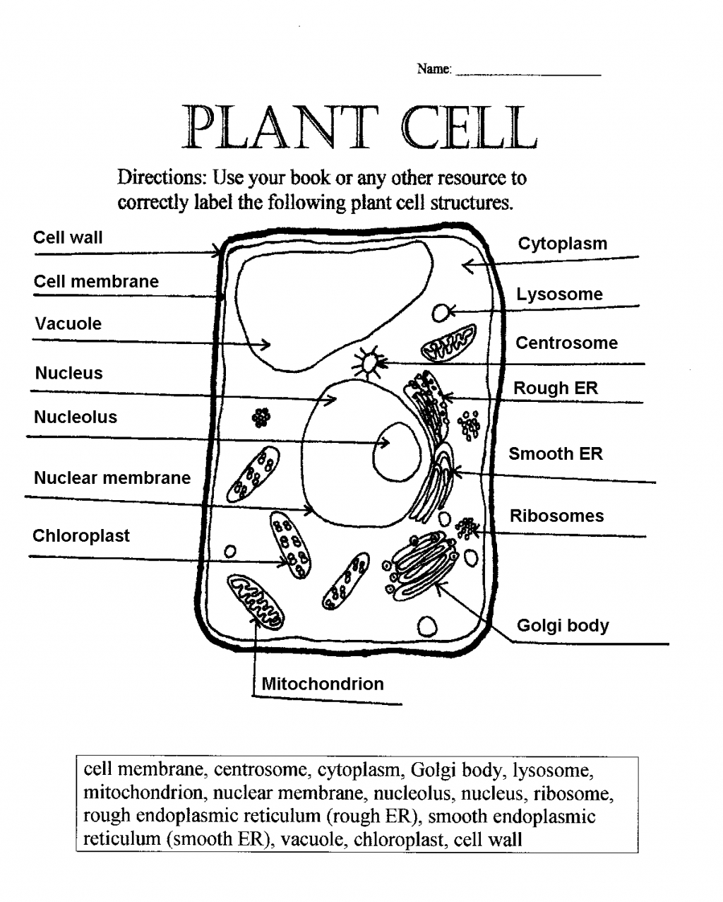 Label Plant Cell Worksheet 1 Biological Science Picture