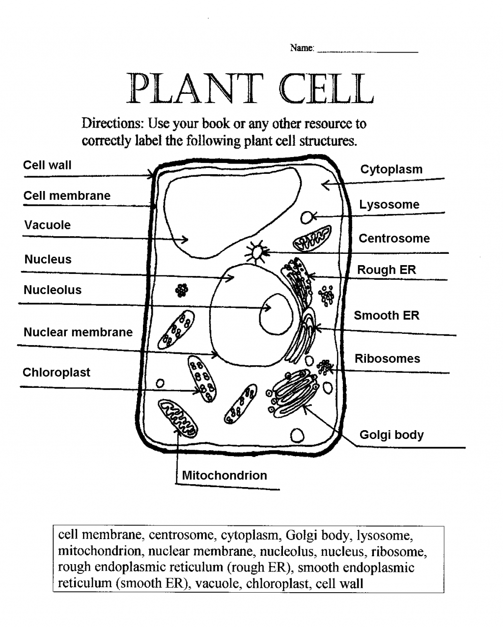 Label Plant Cell Worksheet 1 Biological Science Picture 