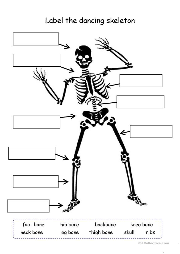 Label The Skeleton English ESL Worksheets For Distance 