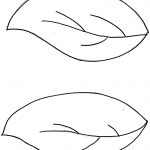 Leaf Template Free ClipArt Best
