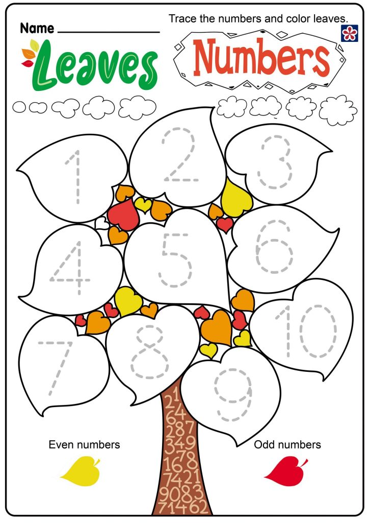 Leaf Worksheets For Kindergarten Worksheet For