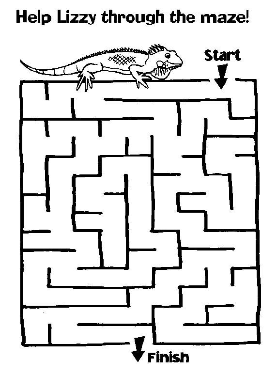 Lizard Maze Labyrinthe Jeu Labyrinthe Jeux