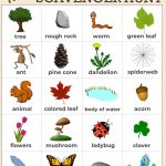 Outdoor Scavenger Hunt Nature Activity For Kids Free