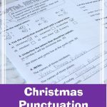 Pin On Holidays TPT From Christmas Punctuation Worksheets