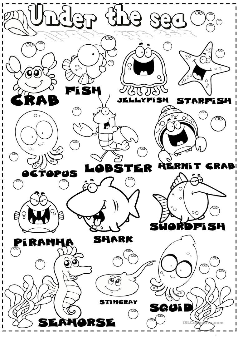 Sea Animals Worksheet Free ESL Printable Worksheets Made 