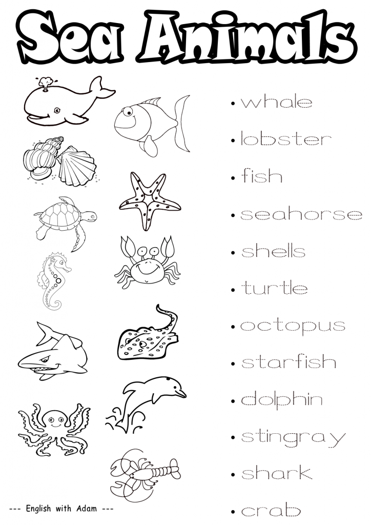 Sea Animals Worksheets For Preschoolers Idalias Salon