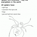 Spider Printable Worksheets