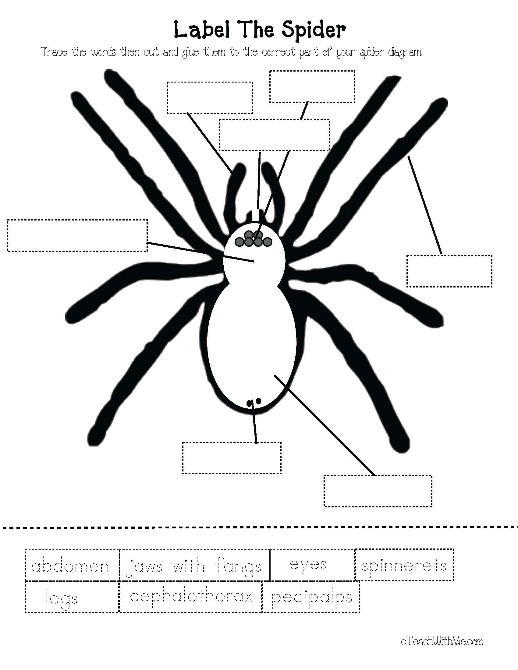 Spider Printable Worksheets Coloring Pages