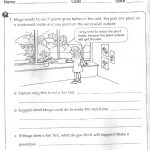 The City School Grade 3 Science Reinforcement Worksheets