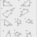 Trig Ratios Worksheet Free Sure Trigonometry Worksheets